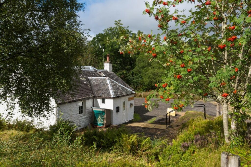 view of cottage from road 